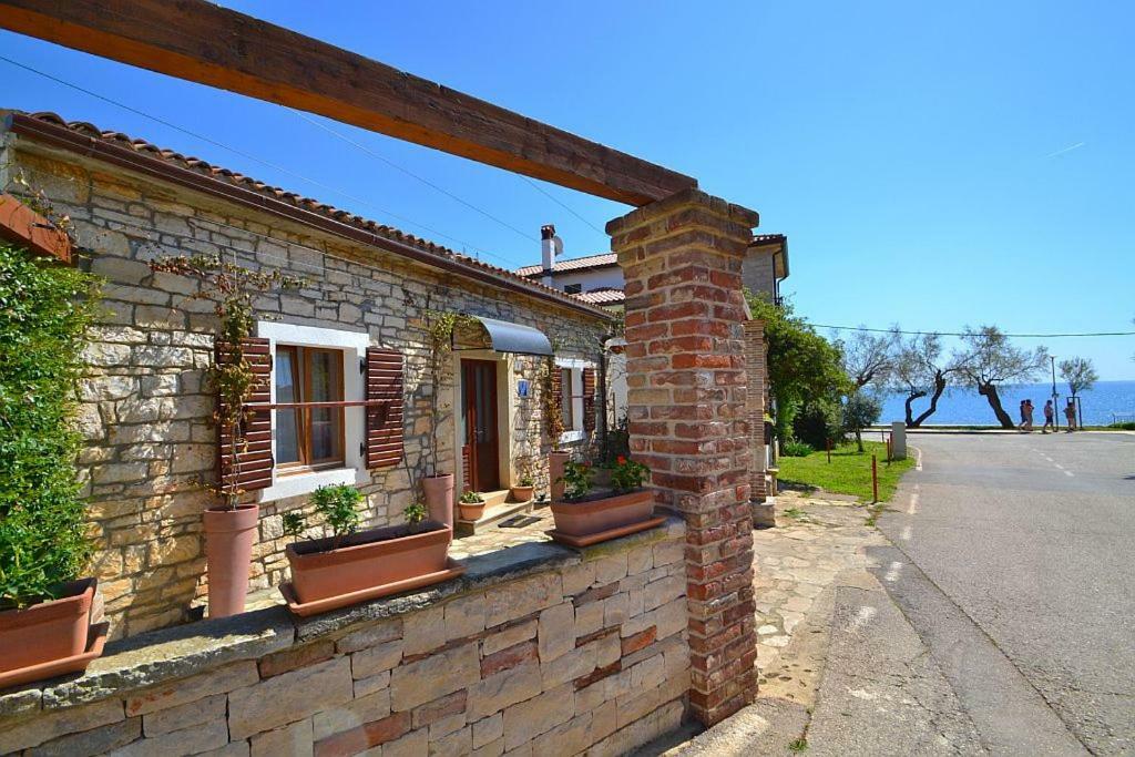 Villa Giardin Novigrad Istria Eksteriør billede