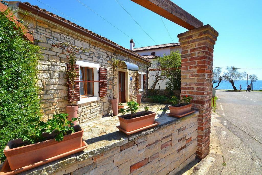 Villa Giardin Novigrad Istria Eksteriør billede